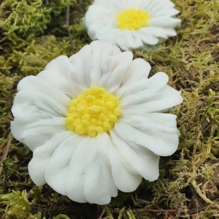 Bougie Marguerite